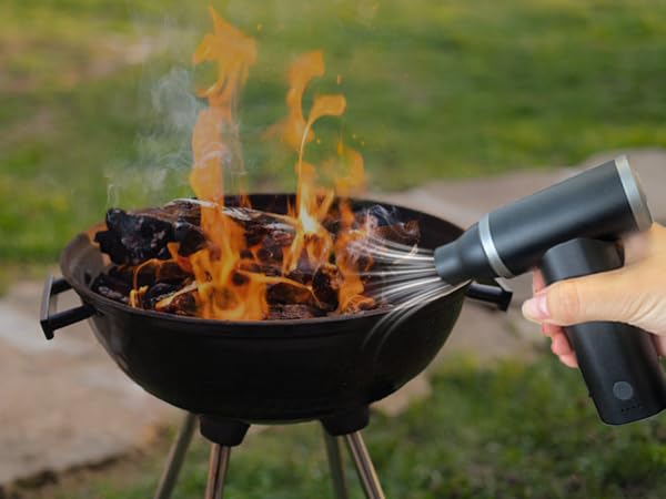 handheld vacuum cordless 