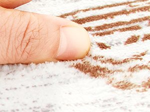 area rug