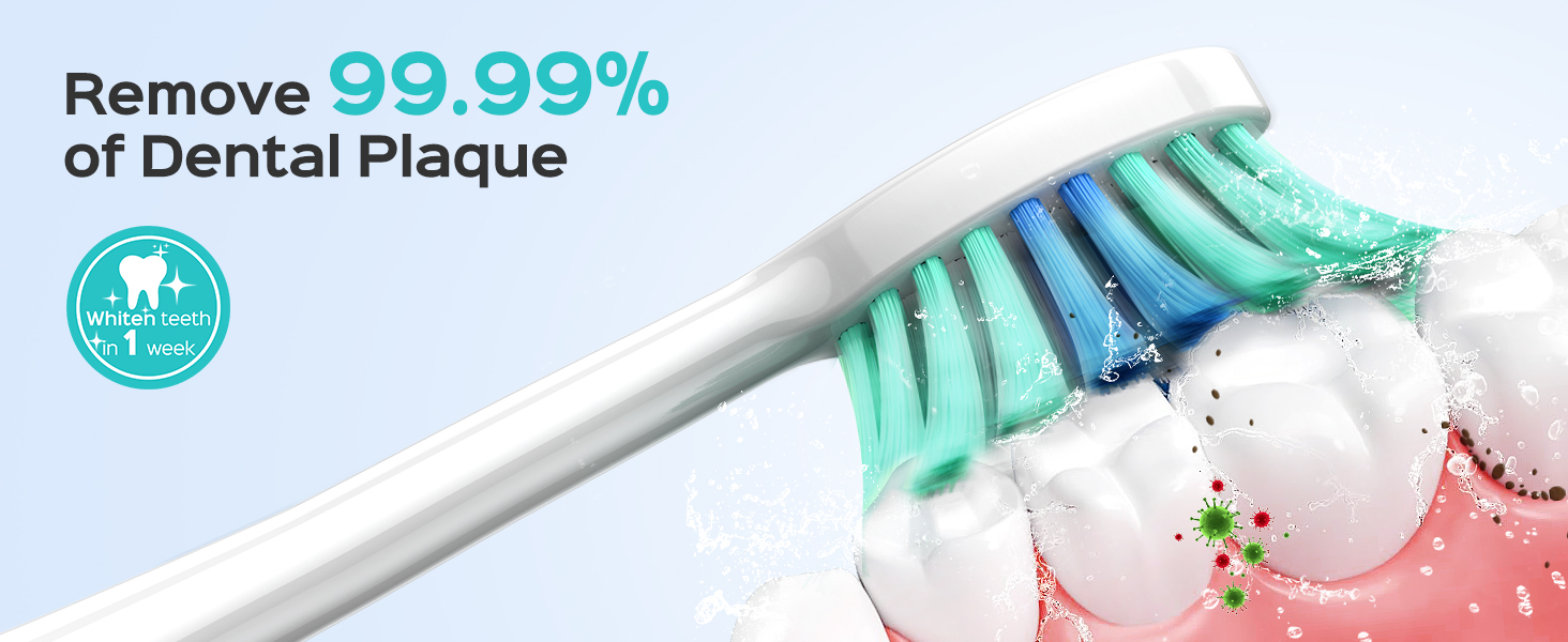 Electric Sonic Ultrasonic Toothbrush Adults Kids Cepillo de dientes ultrasónico eléctrico sónico