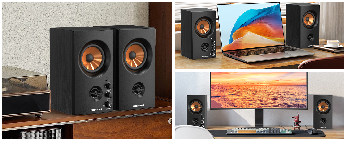 bookshelf speakers for turntable