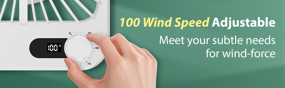 Cruise Ship Approved