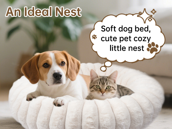 anxiety dog bed
