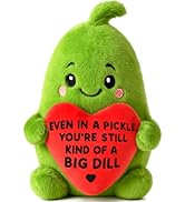 Emotional Positive Support Pickle Birthday Gifts for Women Men Christmas Sister Friend Teen Mom D...
