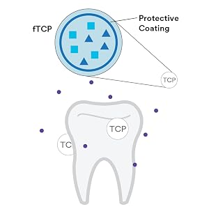 tooth with TCP