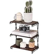 TlaroRiz Desk Shelf Organizer 3 Tiers Wood Compact Desk Organizer Storage Rack Metal Frame Office...