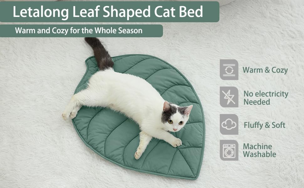 cat bed