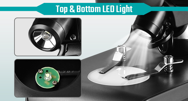 Mounted Binocular Stereo Microscope