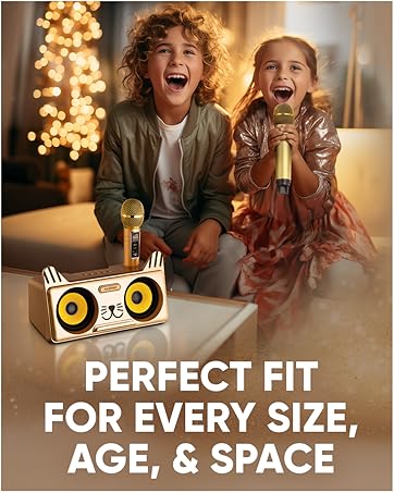 kareoke machine jyx karaoke machine with two wireless microphones jbl karaoke speaker