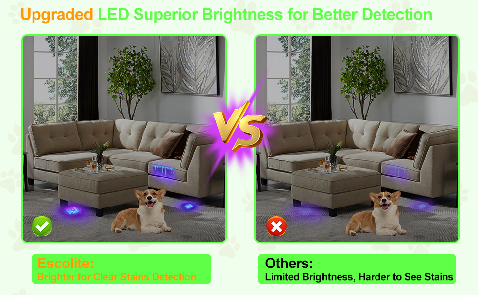 blacklight flashlight