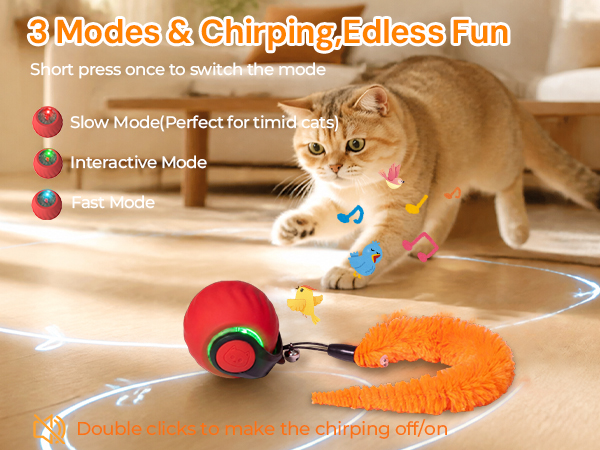 self play cat toys