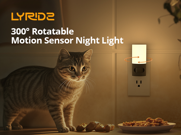 Rotatable night light