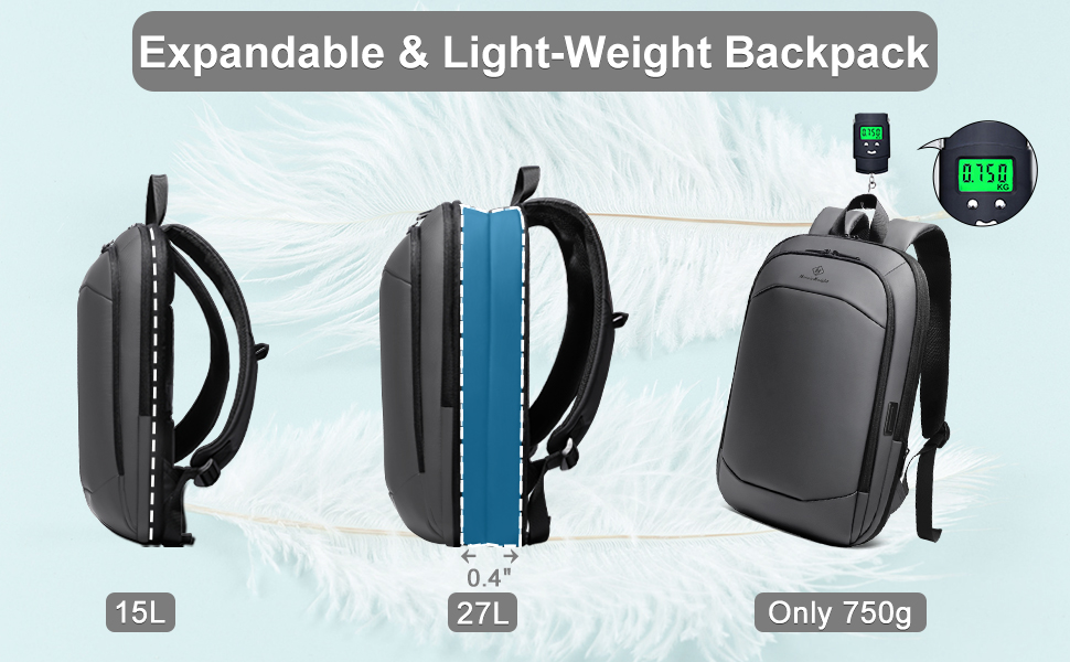 Business Backpack for men