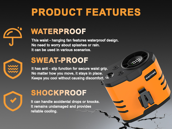 Feature Description