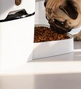 automatic cat feeder 5g wifi