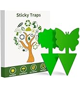 Fruit Fly Traps, 100 Pack Green Sticky Traps, Fungus Gnat Traps, Plant Fly Stickers for Indoor an...