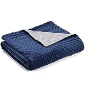 Cover for Weighted Blanket 48x72, Removable Minky Dot Duvet Covers for Heavy Blankets with Zipper...
