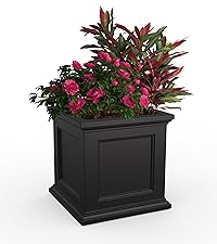 https://m.media-amazon.com/images/S/aplus-media-library-service-media/e0c5c664-bf4a-4068-9390-ffd677c2507c.__CR142,0,2276,2560_PT0_SX200_V1___.jpg