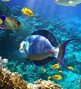 sofirn SD06 Scuba Diving Flashlight, 3200 High Lumens 472 Meters Long Throw Bright Underwater Lig...