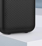 S358 voice amplifier