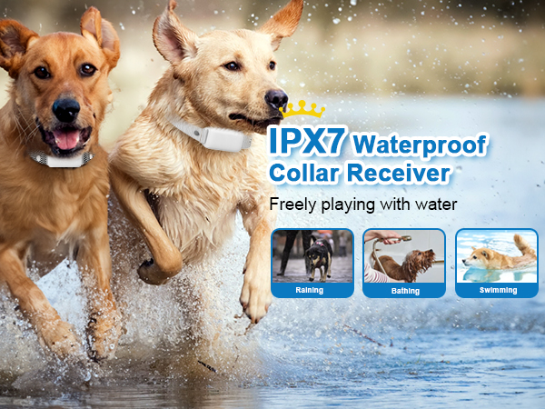 IPX7 Waterproof