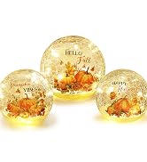 NEEDOMO Thanksgiving Table Decor, Set of 3 Teardrop Crackle Glass Ball with LED Lights Timer Pump...