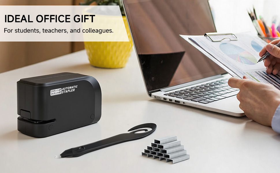 Office stapler set