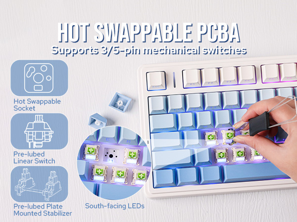 Hot-swappable keyboard PCB with blue switches. Features include support for 3/5-pin mechanical switches, pre-lubed linear switches, and south-facing LEDs. Hand demonstrates switch installation.