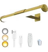 MIOBLUE Picture Light with Remote and Timer, 13.8in Rechargeable Picture Light with 3 Color Modes...