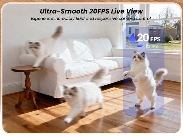 image highlighting 20FPS ultra-smooth live view feature with cat playing on a sofa in living room.