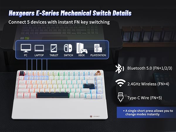 Connect 5 devices with instant FN key switching ??: