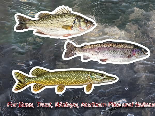 Spinner Baits