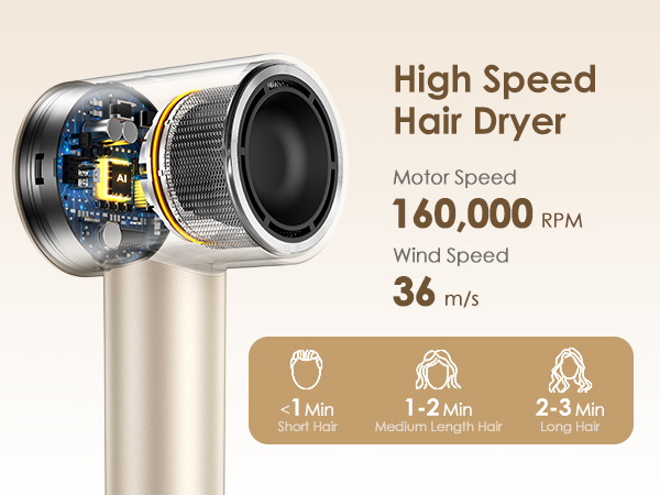 Ionic hair dryer