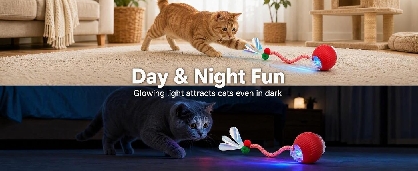 cat toys for indoor cats