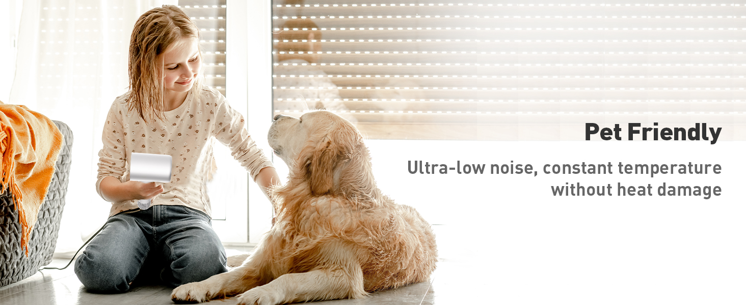 hair dryer with diffuser