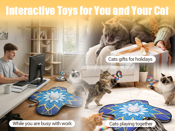 cat toys bored indoor