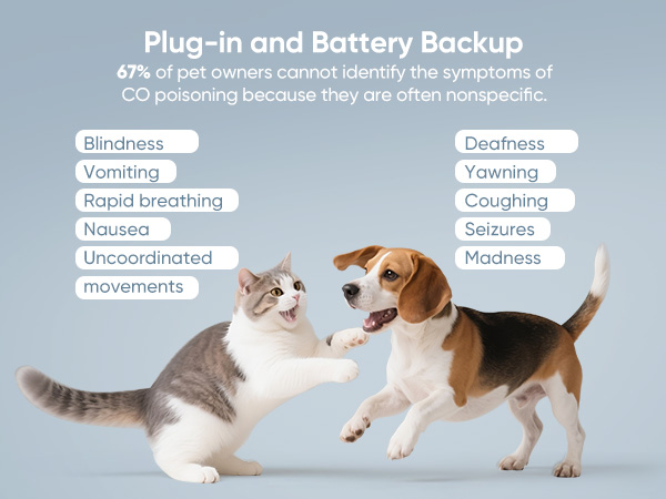 Carbon Monoxide Detectors