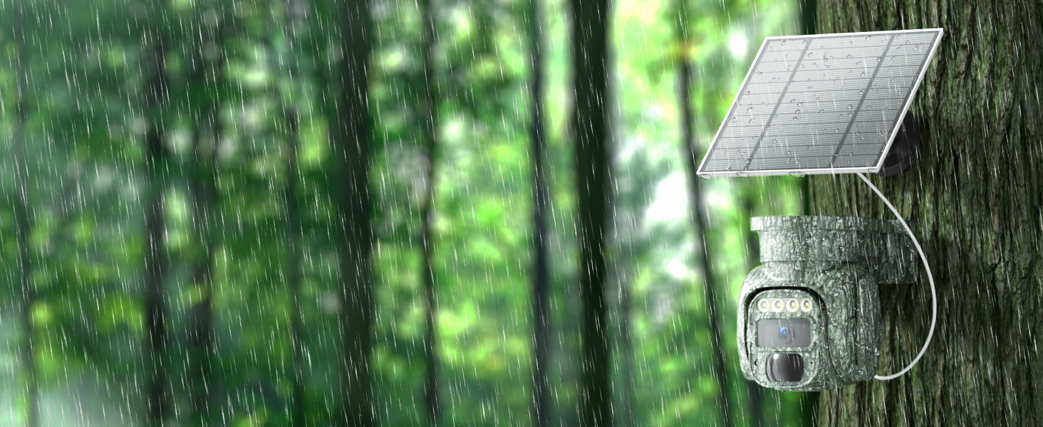 rain falling in the forest