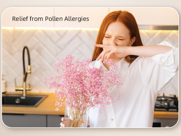 air purifier for allergies