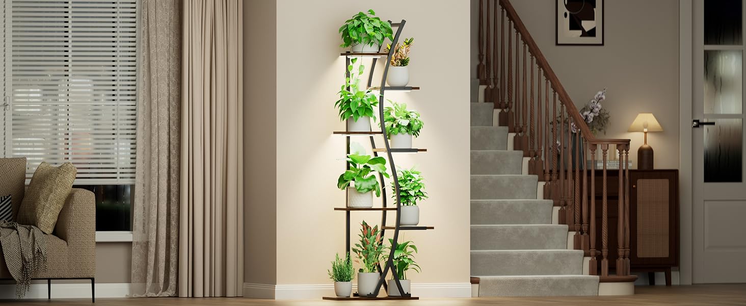 plant stand indoor