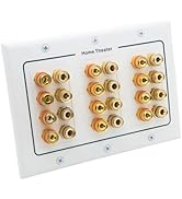DIYTECH 12 Speaker Wall Plate, Home Theater Wall Plate, Gold Plated Binding Posts, Speaker Wall P...