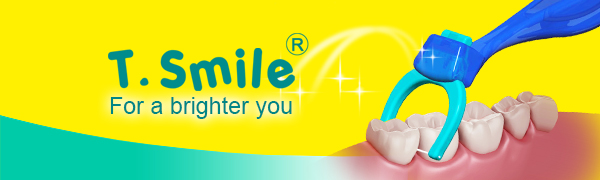 t.smile dental flosser, dental flosser, dental floss, dental floss pick, dental floss picks