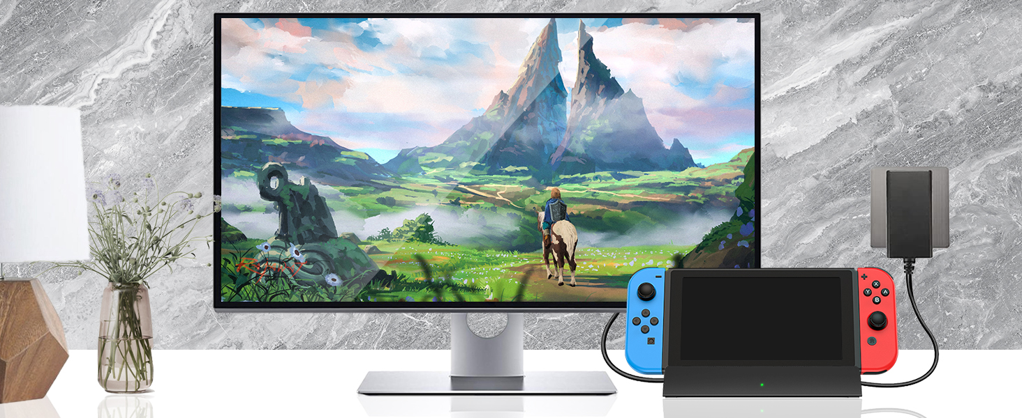 nintendo switch dock