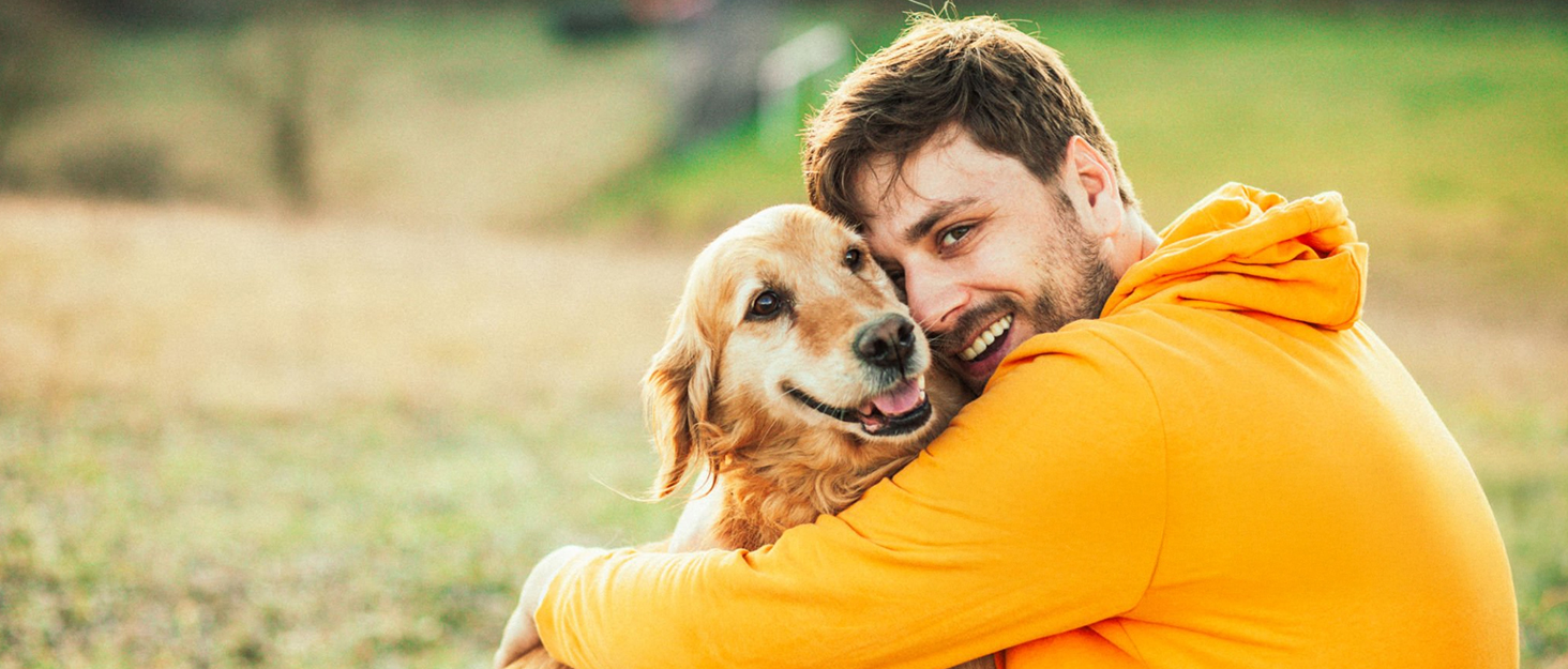 stop neighbors dog from barking