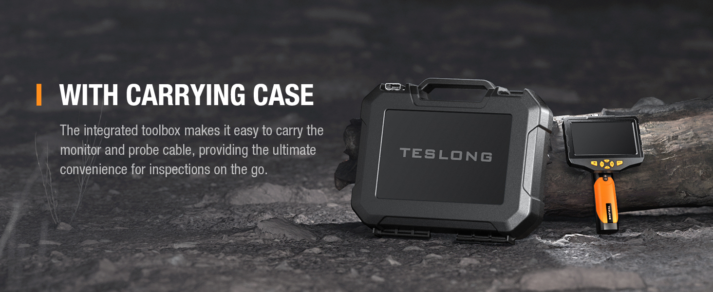 Portable storage box