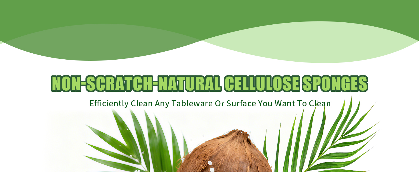 Sponges Kitchen Natural Dish Sponge Plant-Based