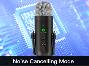 mic