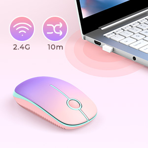 mouse
