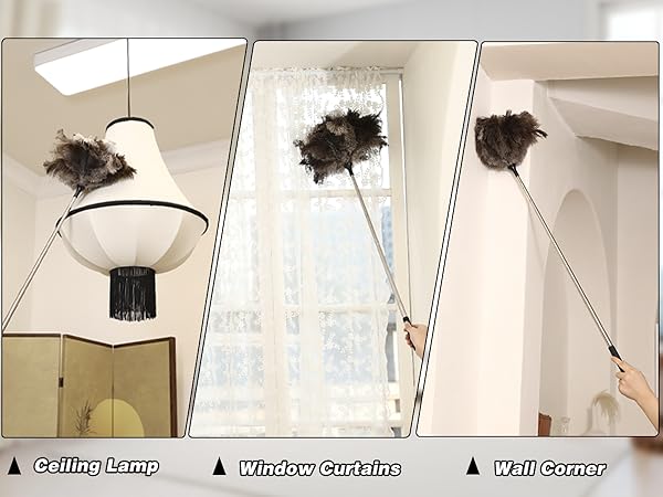 long feather duster