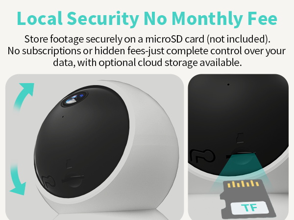 local security camera