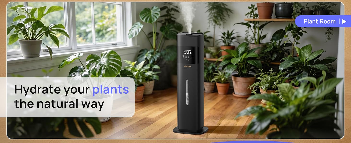 humidifier for plants